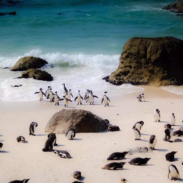 Tour on Honeymoon