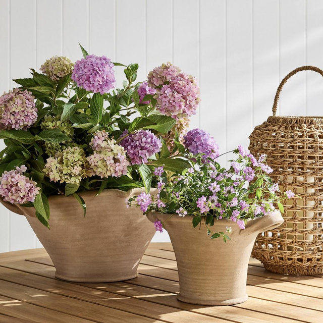 Pots for our front lawn