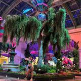 Bellagio Conservatory & Botanical Gardens