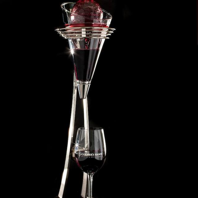 Cooper's Hawk Gemini Decanter Silver