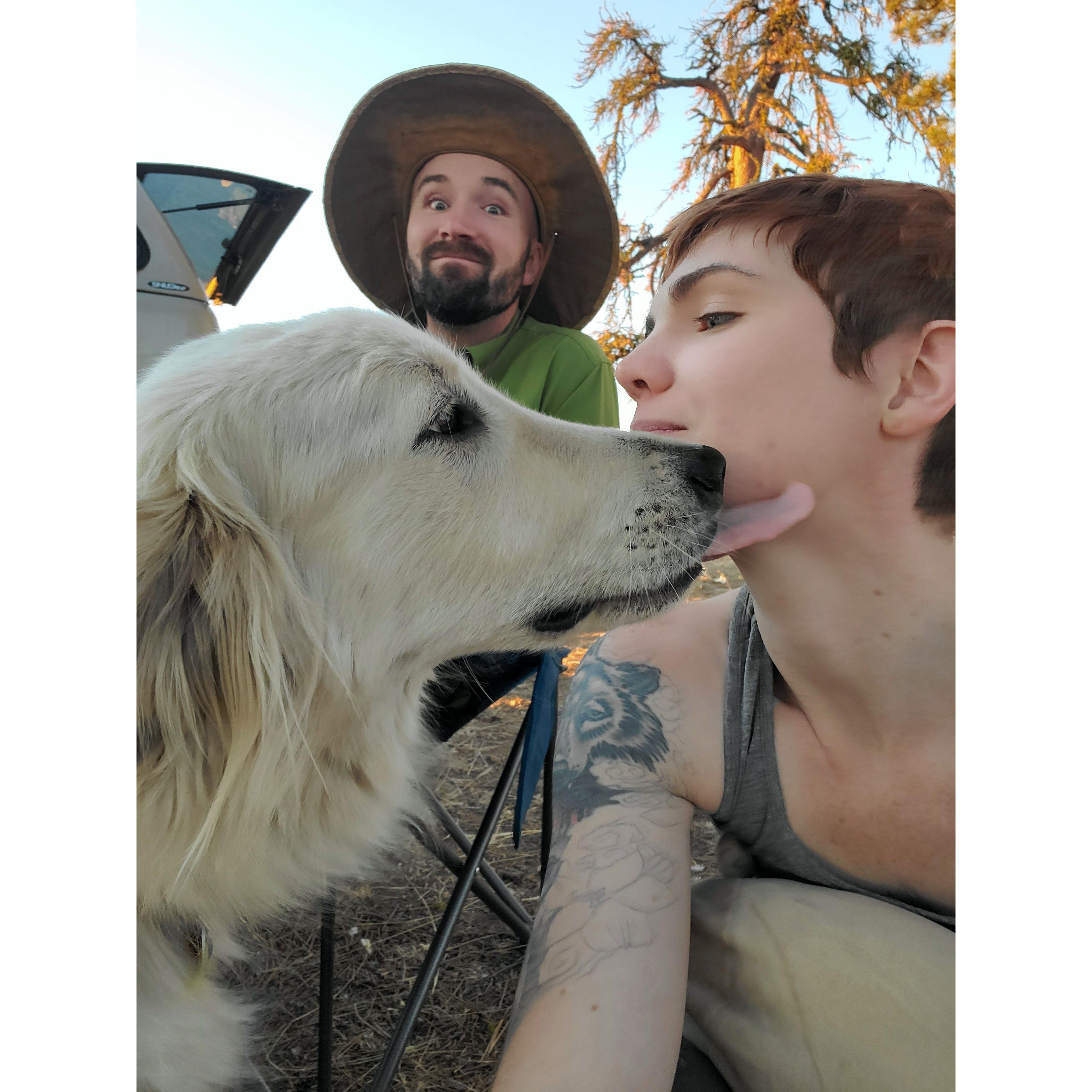 One of our many camping trips with the dogs