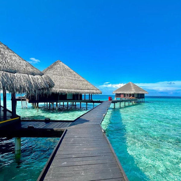 Honeymoon