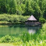 Atrium at Meadowlark Botanical Gardens