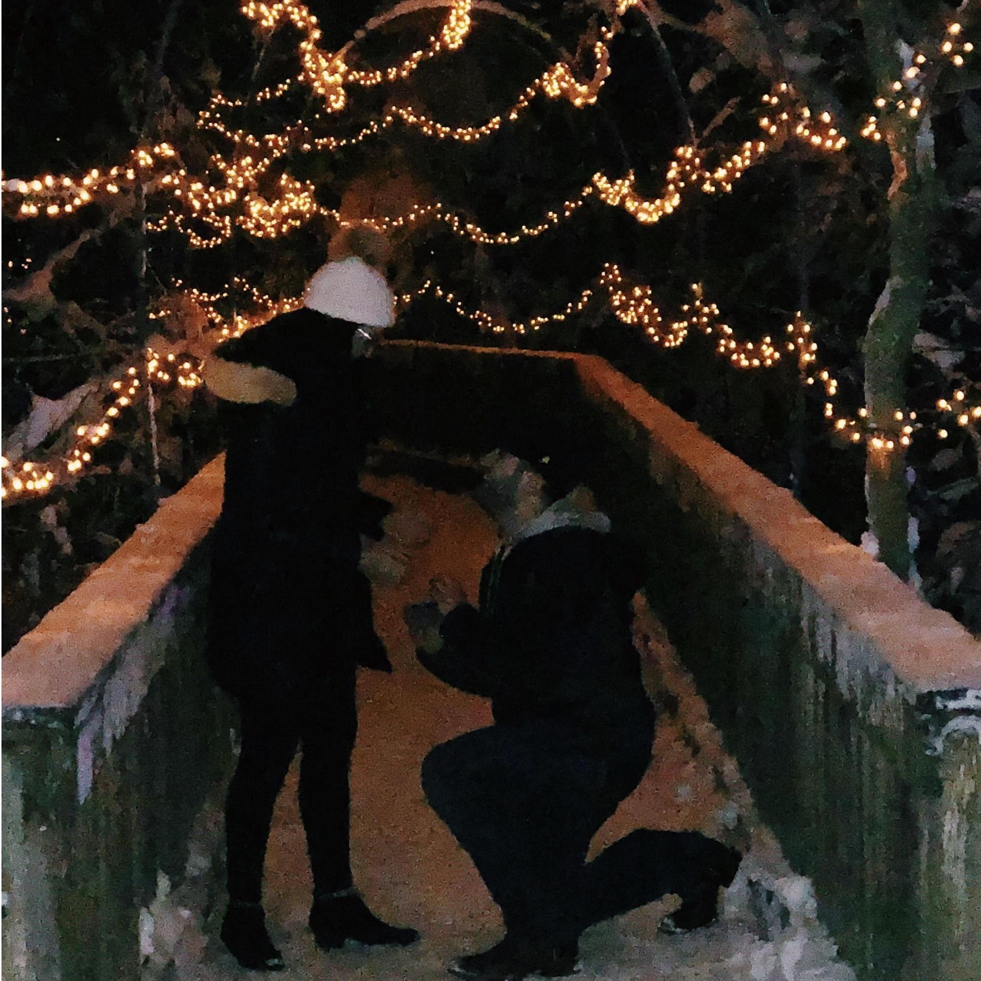 The proposal!