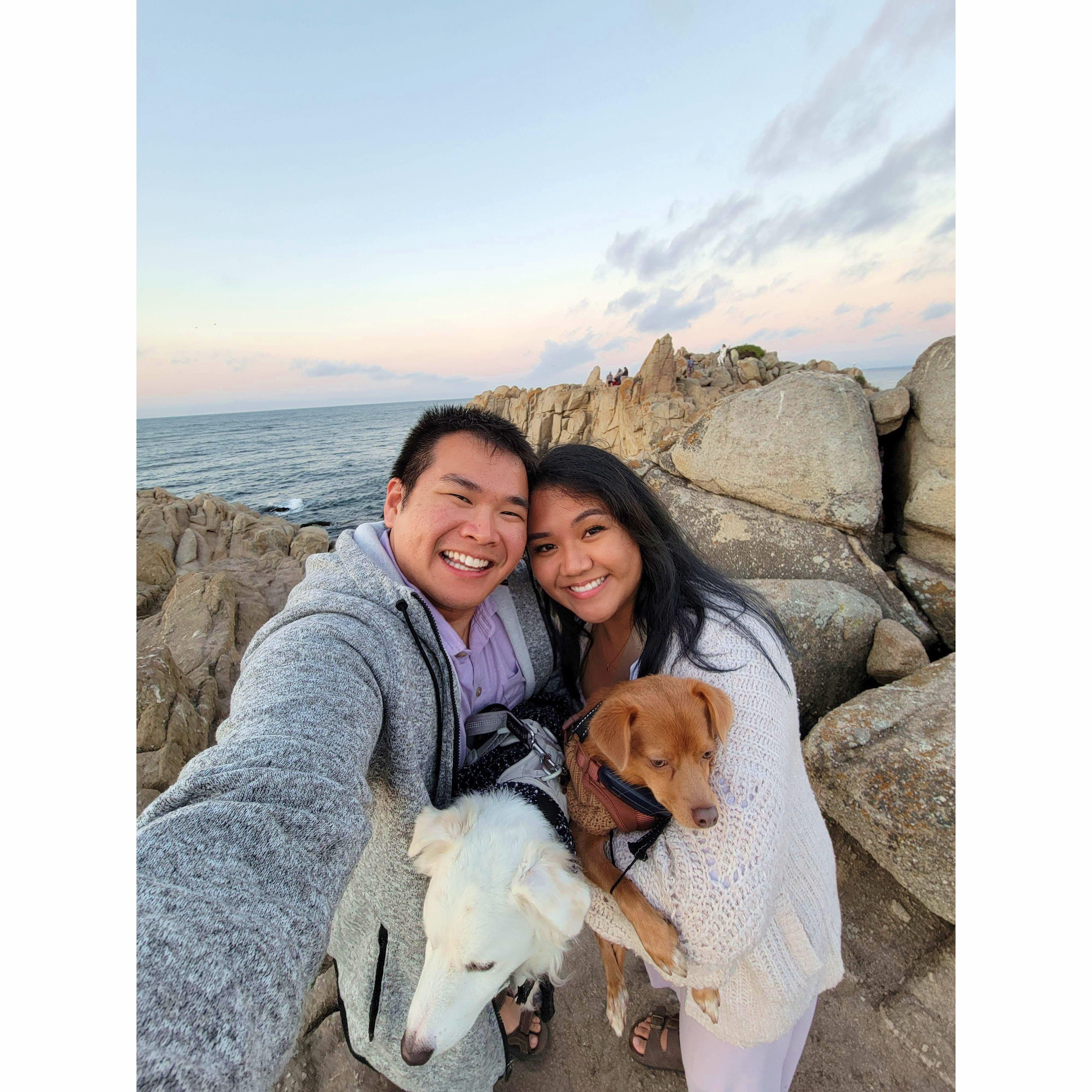 Our staycation in Monterey with Cashew and Cannoli!