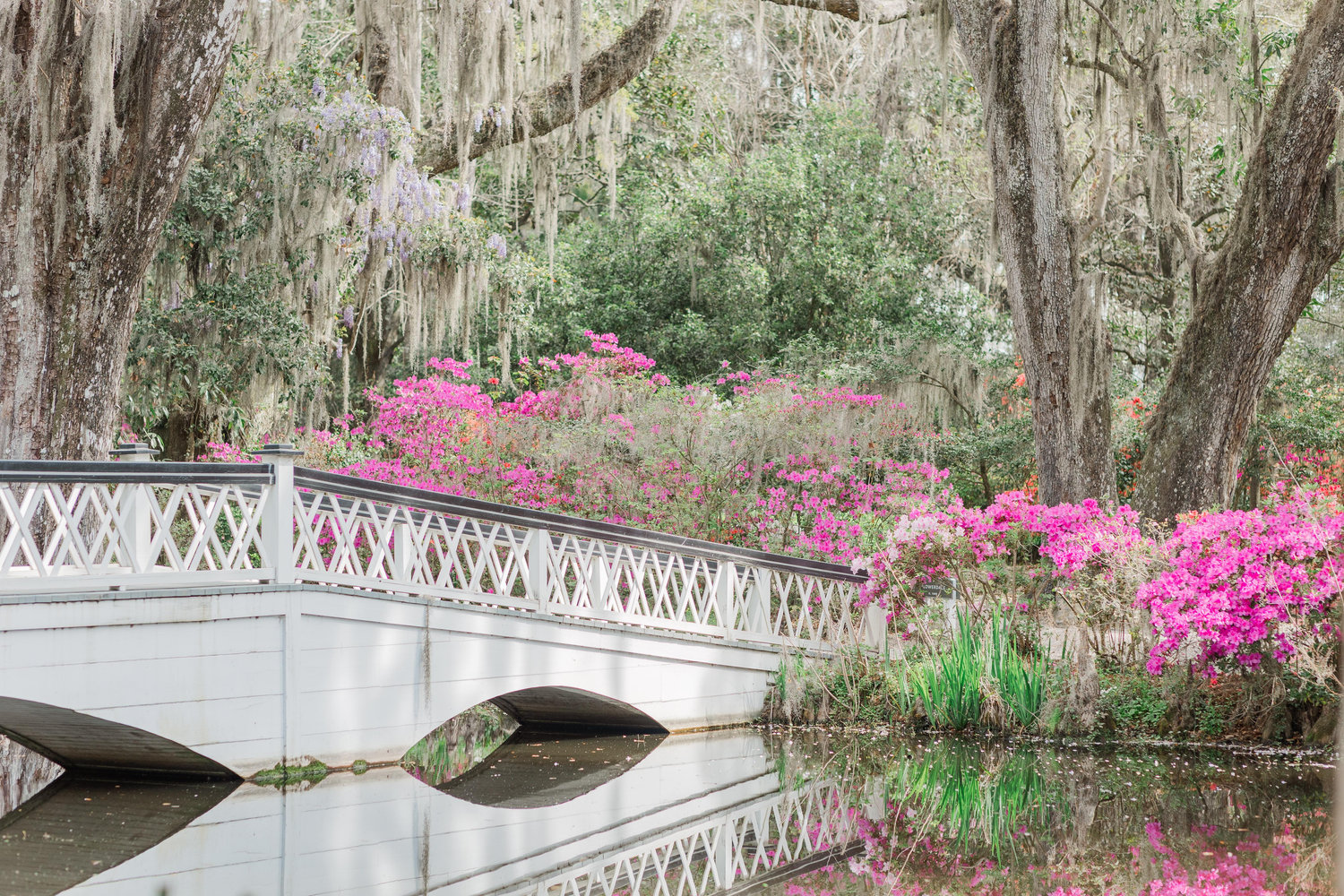 The Wedding Website of Jayden Cora and Joseph Conklin
