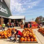 Eckert's Belleville Farm