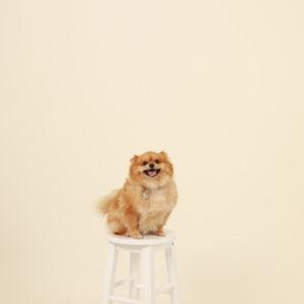 Toast Sitter Fund