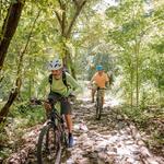 Mountain Bikes