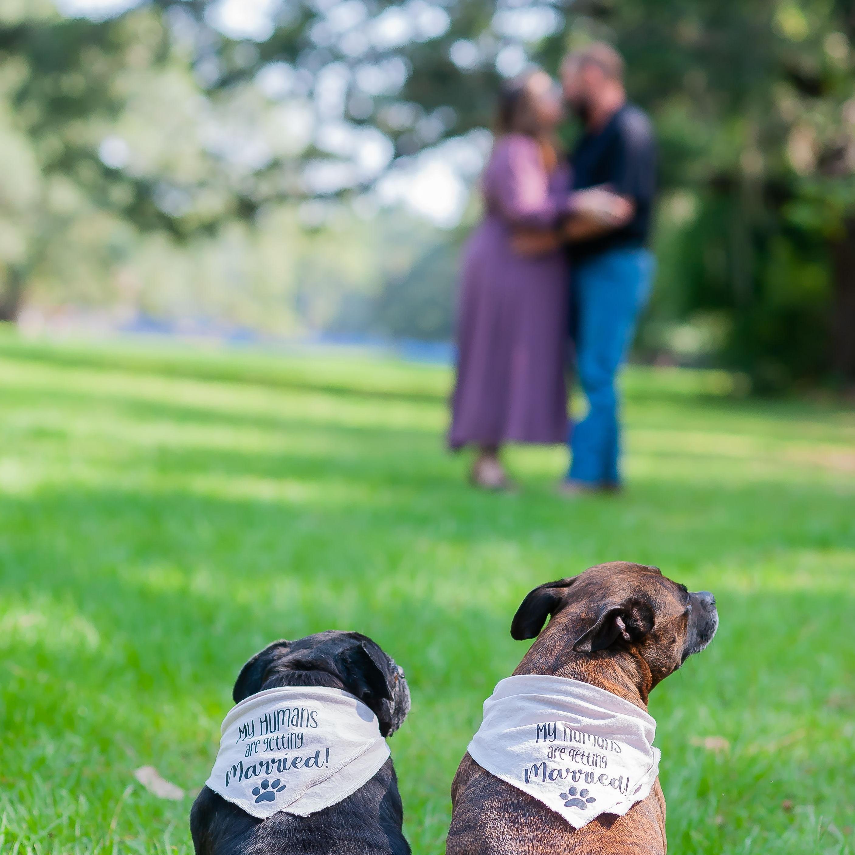 Our pups are always by our side - including when Aaron proposed in this park! Brynn was even the reason we met in another Tallahassee park, Tom Brown, over four years ago!