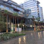 The Arboleda Center