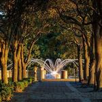 Joe Wiley Waterfront Park