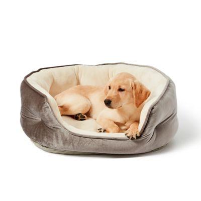 Pawslife™ Memory Foam Pet Bed in Grey