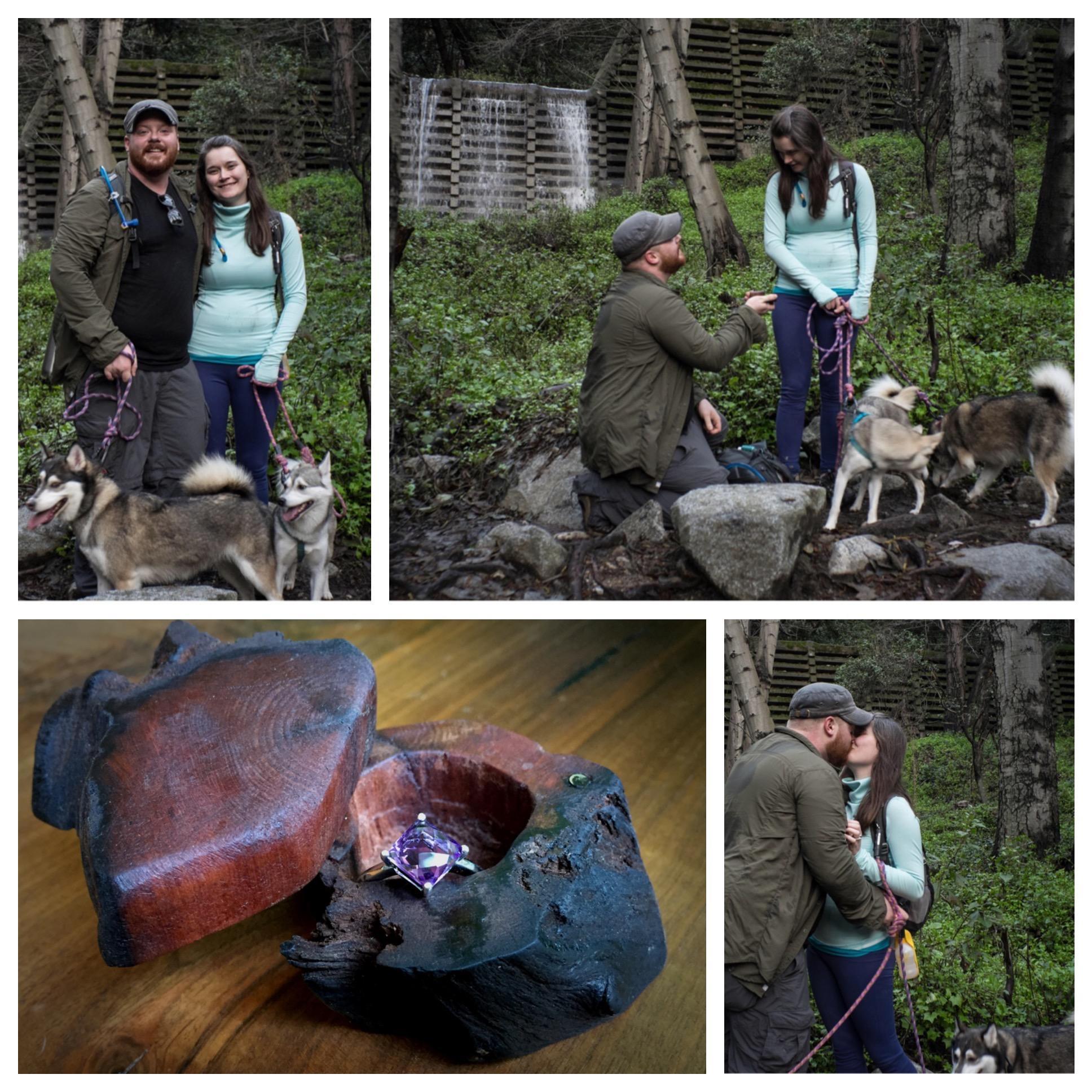 The proposal!
