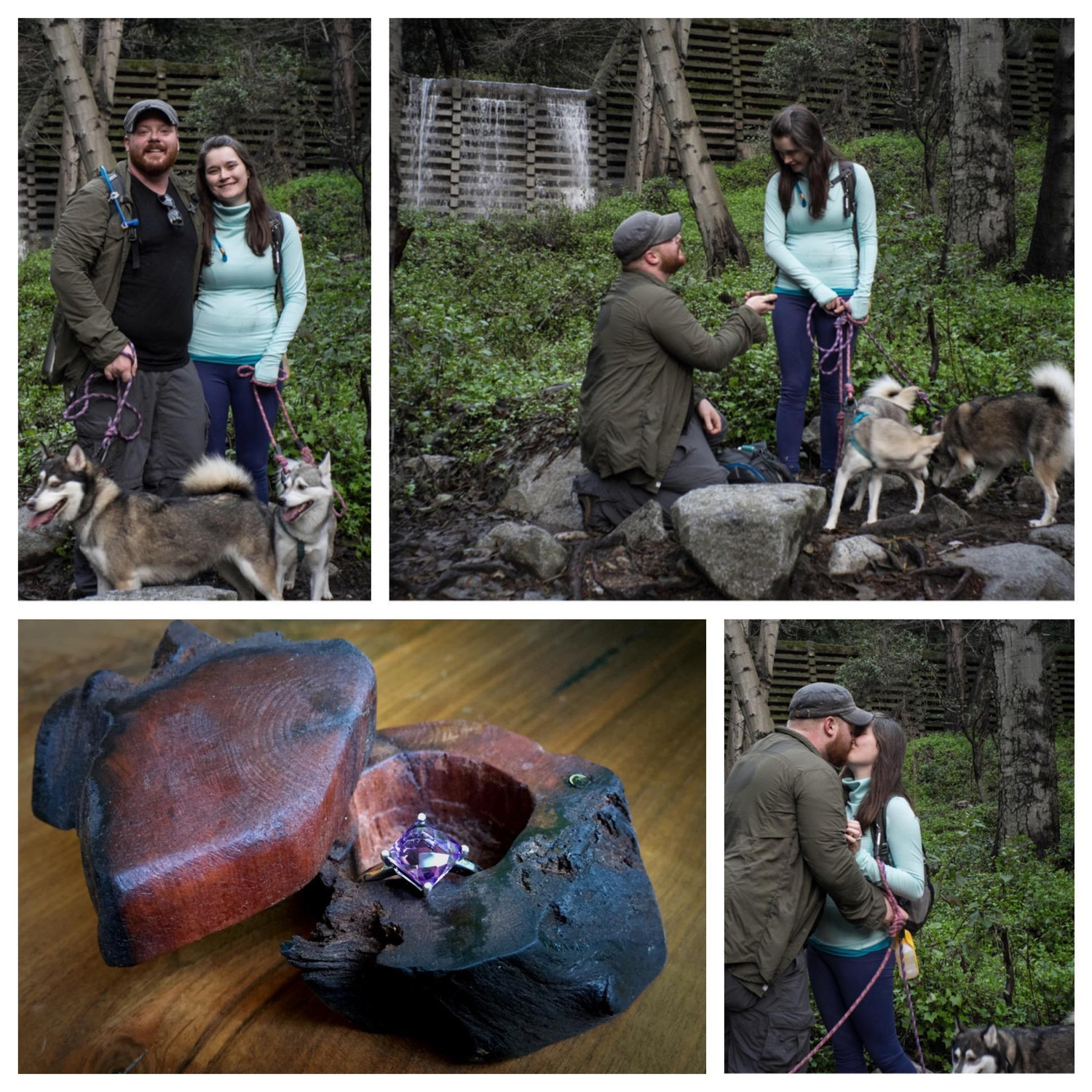 The proposal!