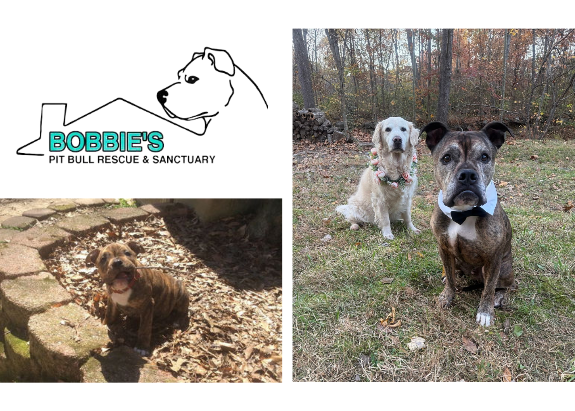 fd6a101f-748b-484d-83aa-0a222bc0c49c