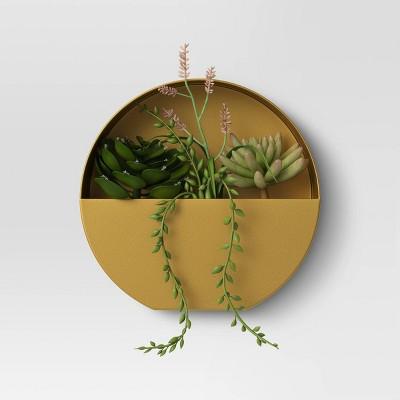 Large Wall Hanging Succulents - Project 62™