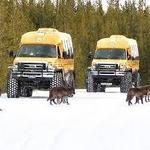 See Yellowstone Snow coach tour