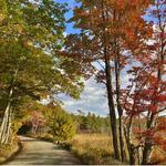 Witch Hole Pond Carriage Road