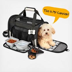 Bag to carry dog supplies sale