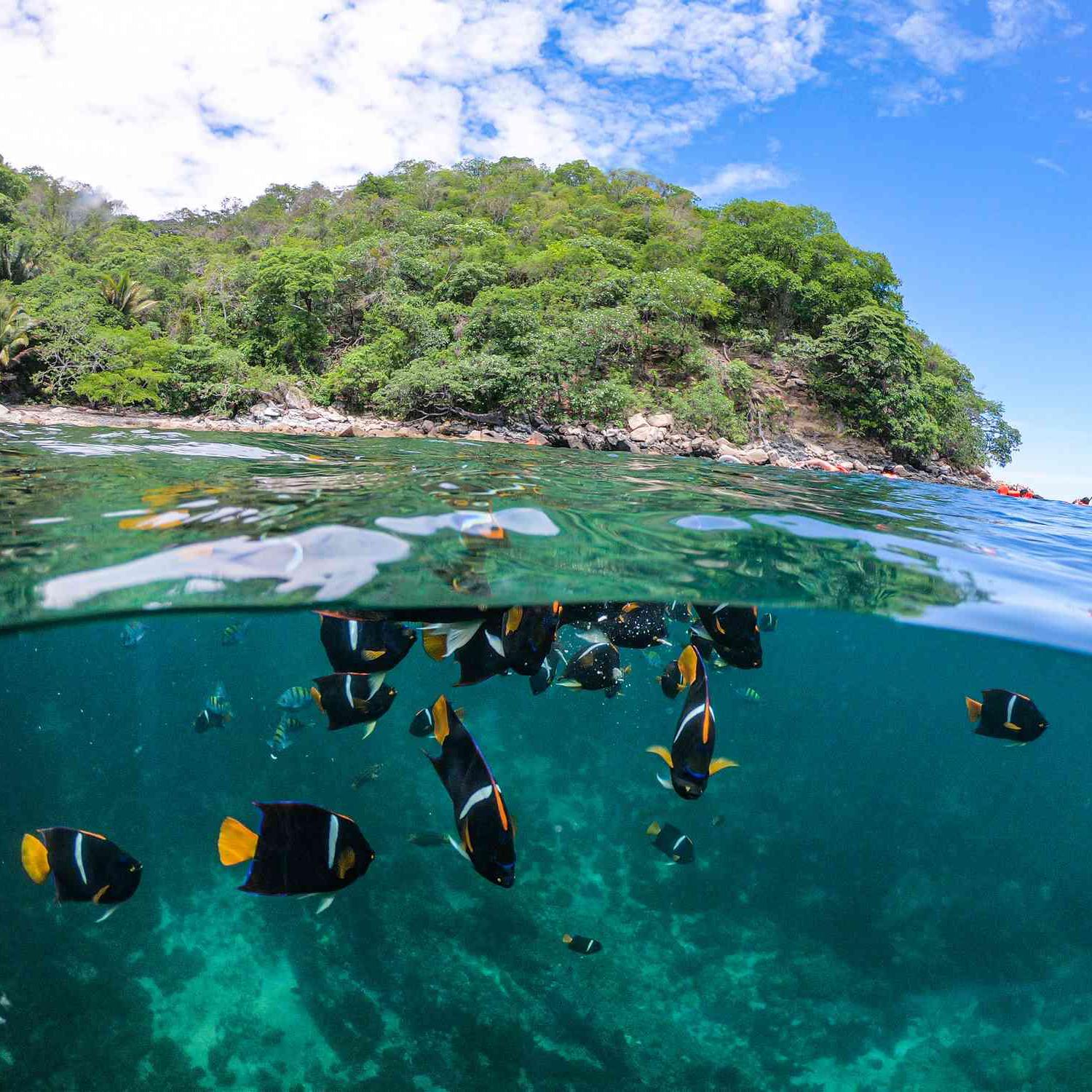 Snorkeling For Two