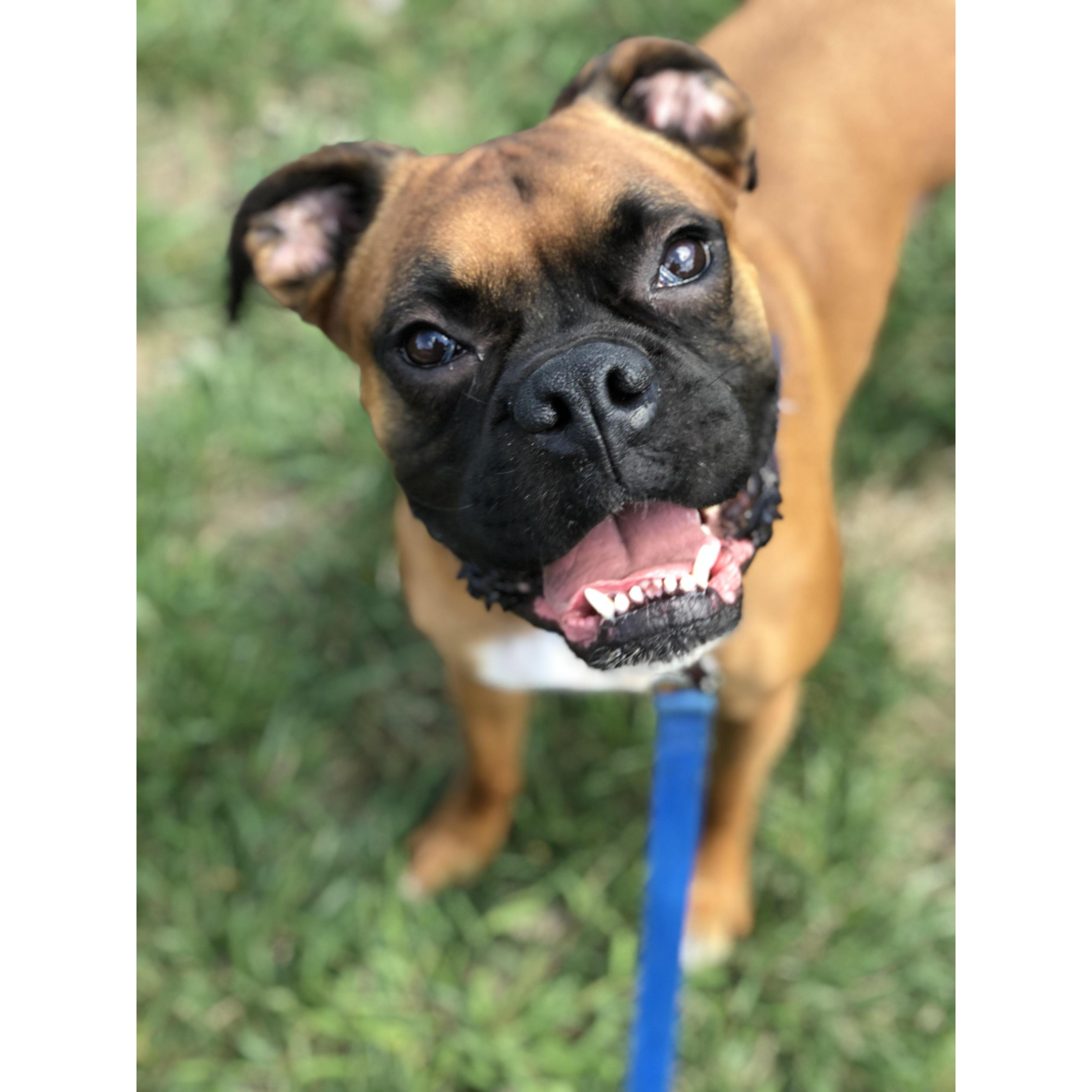 Our Acey Boy!