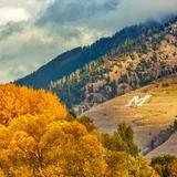 Missoula Area