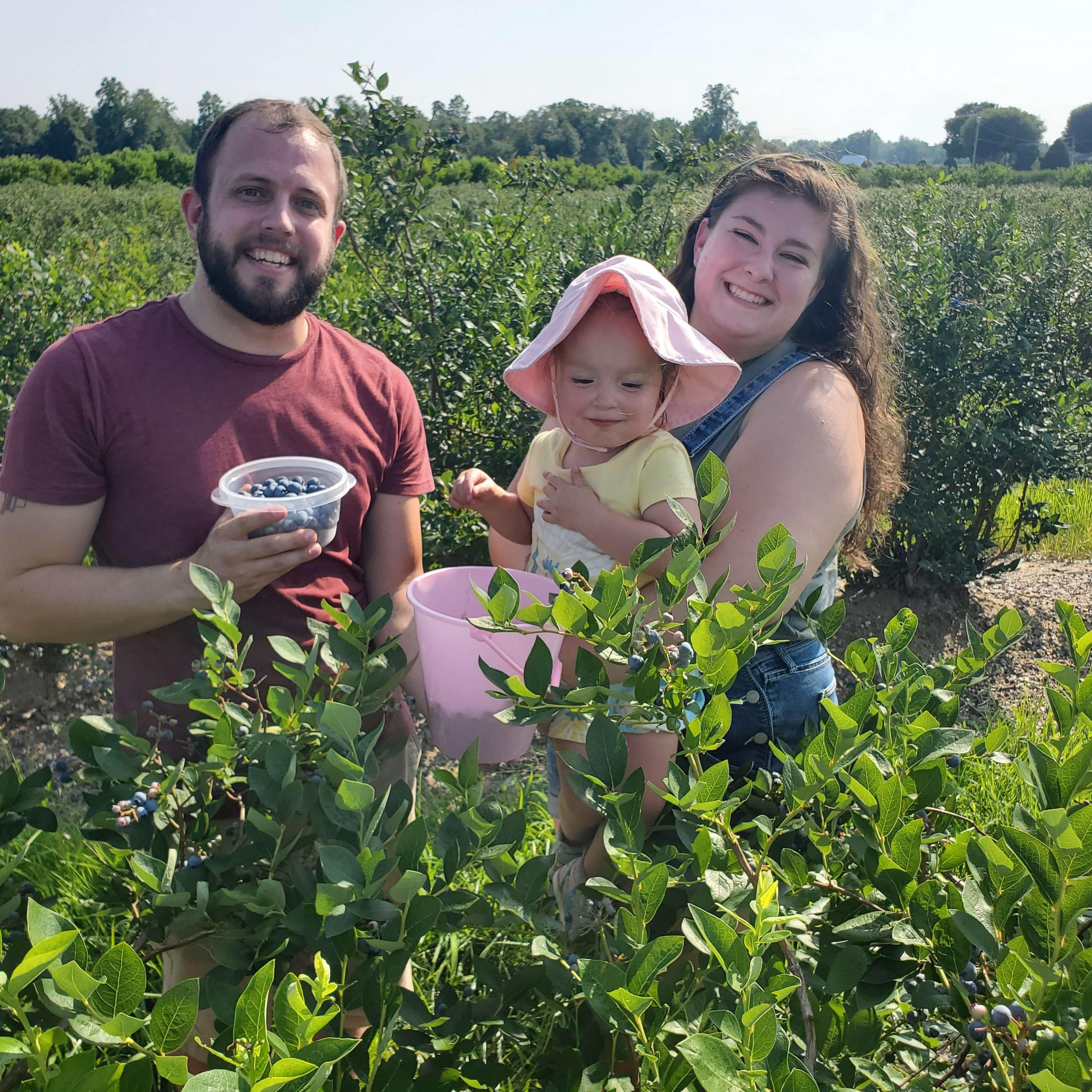 Blueberry Picking with Riley, 2021