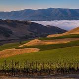Santa Ynez Valley