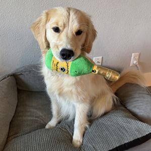 Maple's Treat Fund