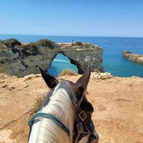 Sunset Horseback Ride