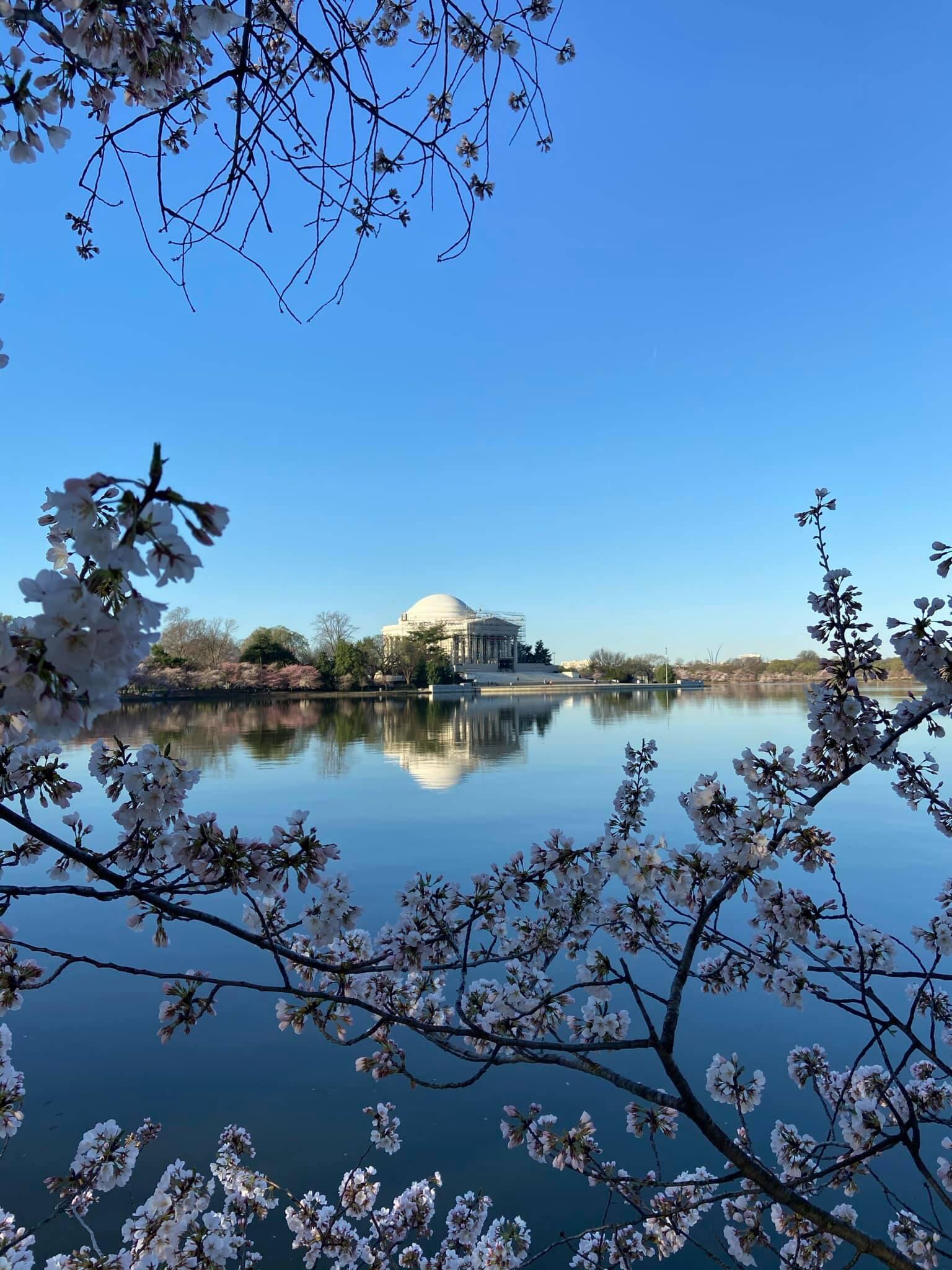 The Wedding Website of Estefán Gargost and Thierry Dupont