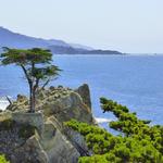 17 Mile Drive