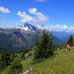 Cutthroat Pass Trailhead