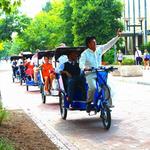 Vamos! Lion Chariot