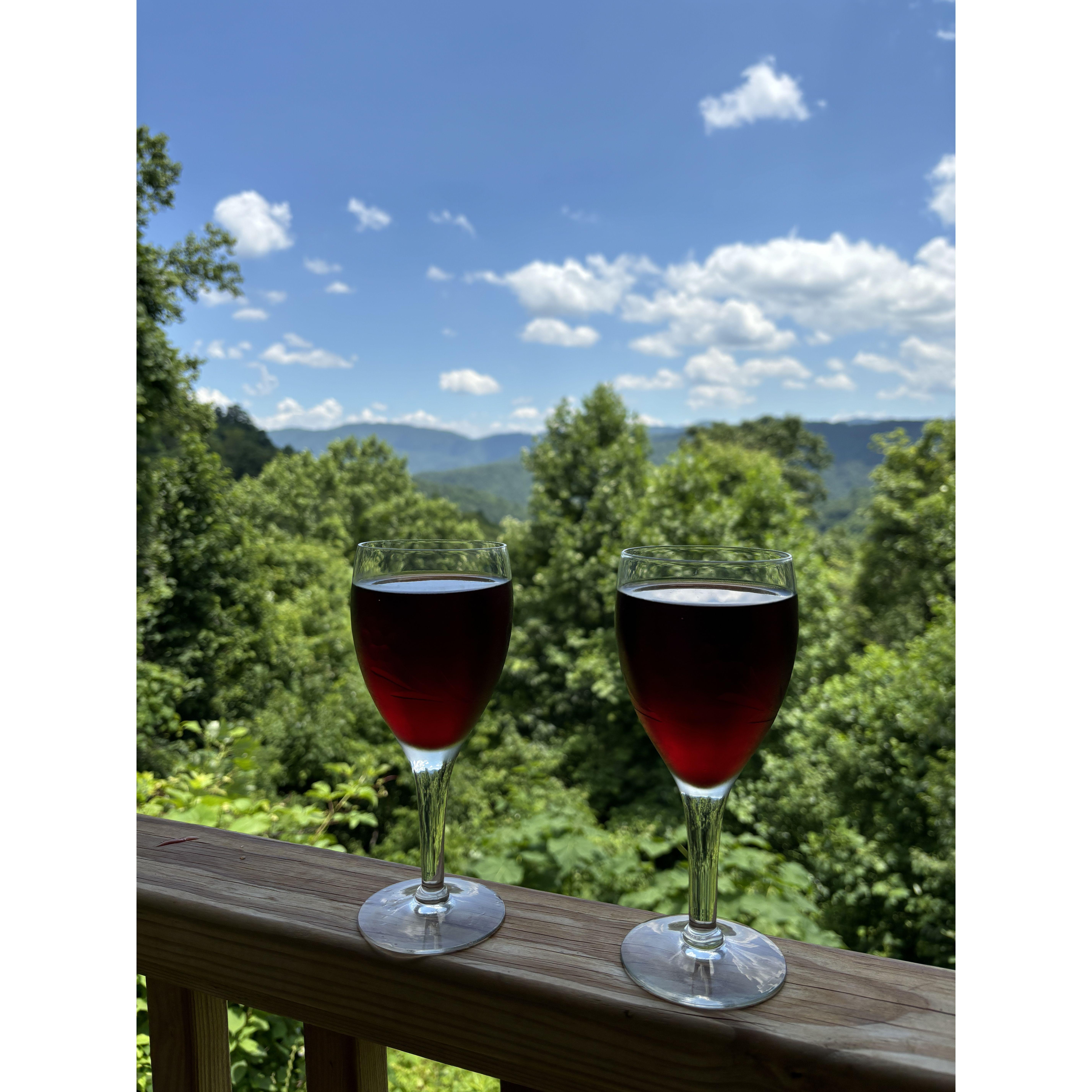 June 23, 2024: Celebrating our one year dating anniversary in the Blue Ridge Mountains.