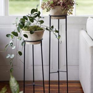Tall Iron Plant Stand - 36"