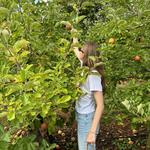 Carter Mountain Orchard and Country Store