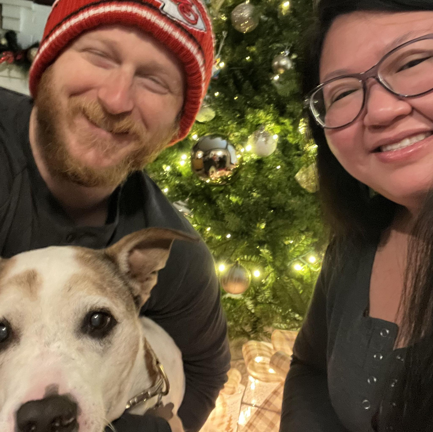 Pink not wanting a Christmas photo lol