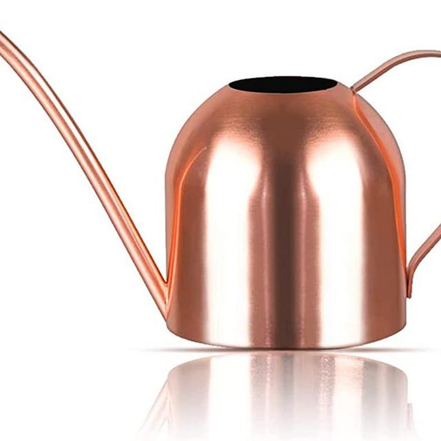 Watering Can Indoor Outdoor for Kids House Desk Office Plants and Garden Bonsai Stainless Steel (15oz-Rose)