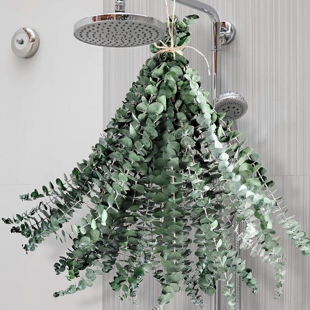 Dried Eucalyptus for Shower Hanging - 17'' Real Large Preserved Eucalyptus Stems Green Home Decor, 100% Made from Fresh Eucalyptus Leaves, Bathroom Shower Decor, Wedding, DIY (24PCS)