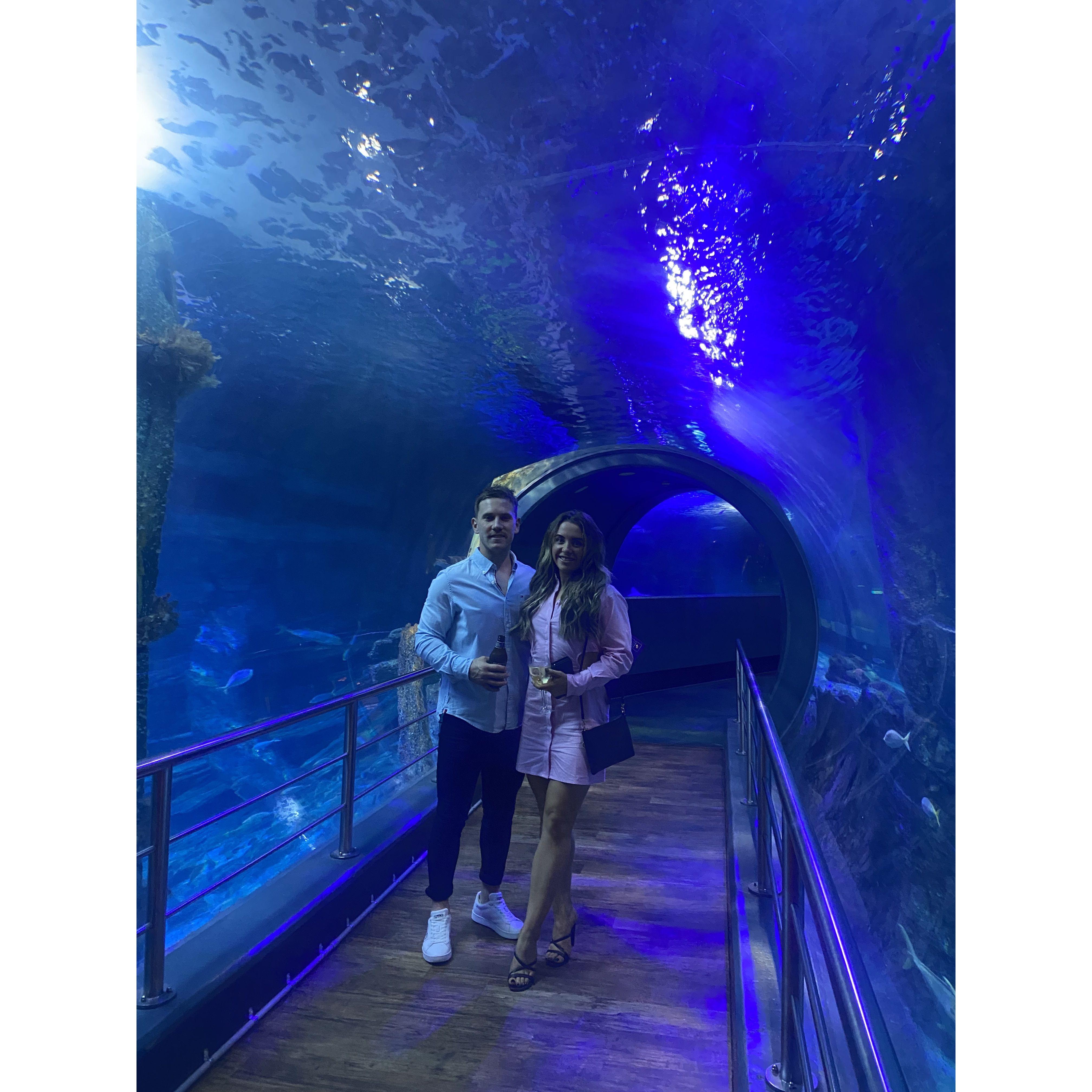 Date night at the Aquarium