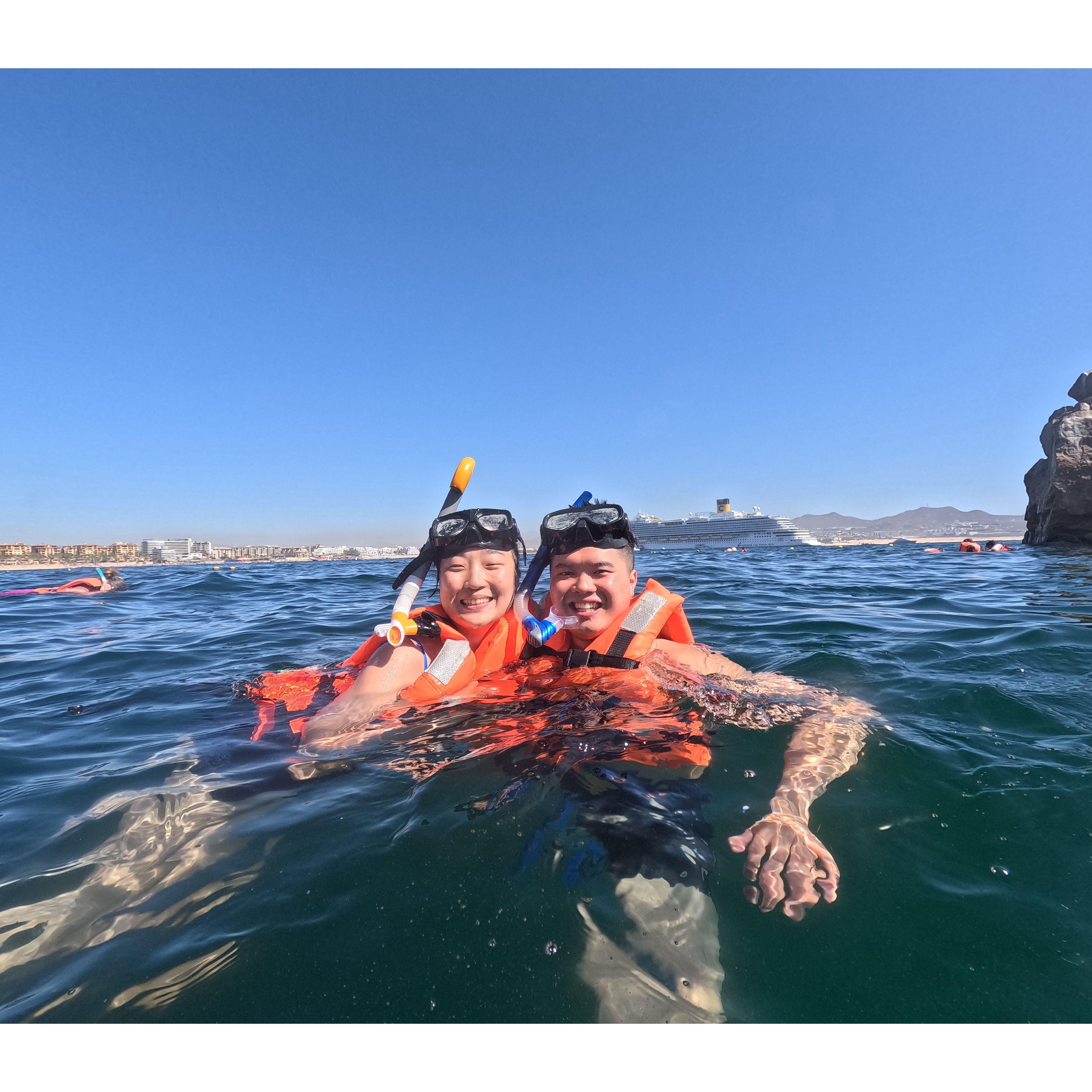Snorkeling in Cabo! 🐟