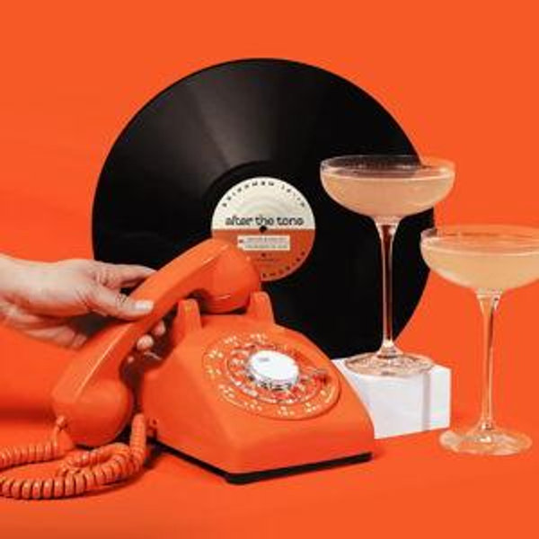 Custom Vinyl Record - Wedding Audio Guestbook