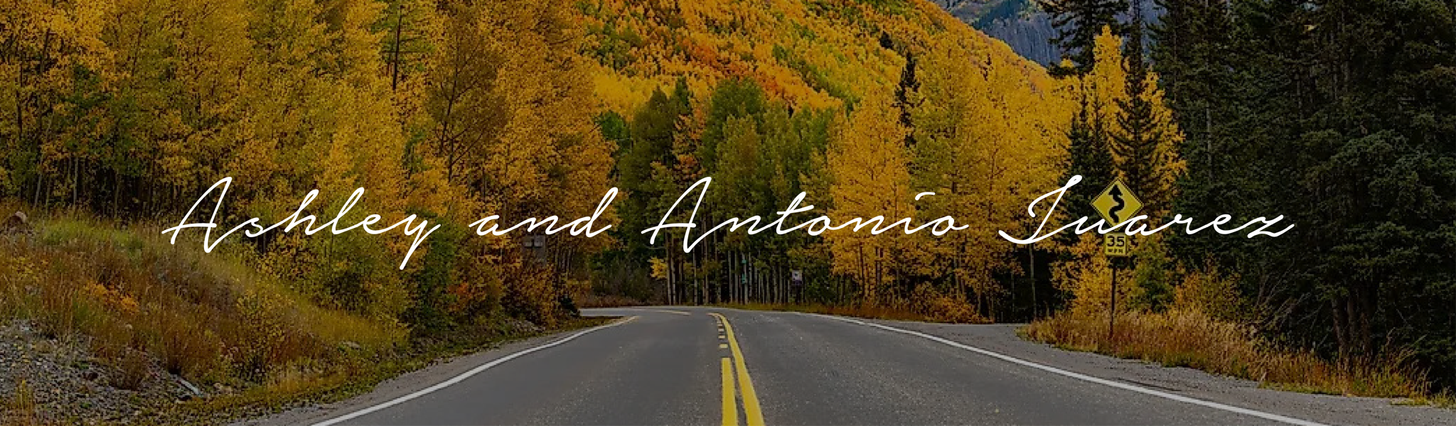 fd8d27ba-6c1e-4e75-a983-3a2ebd63332c