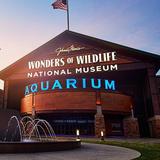 Wonders Of Wildlife National Museum & Aquarium