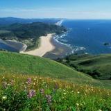 Lincoln City