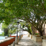 Paseo De La Princesa