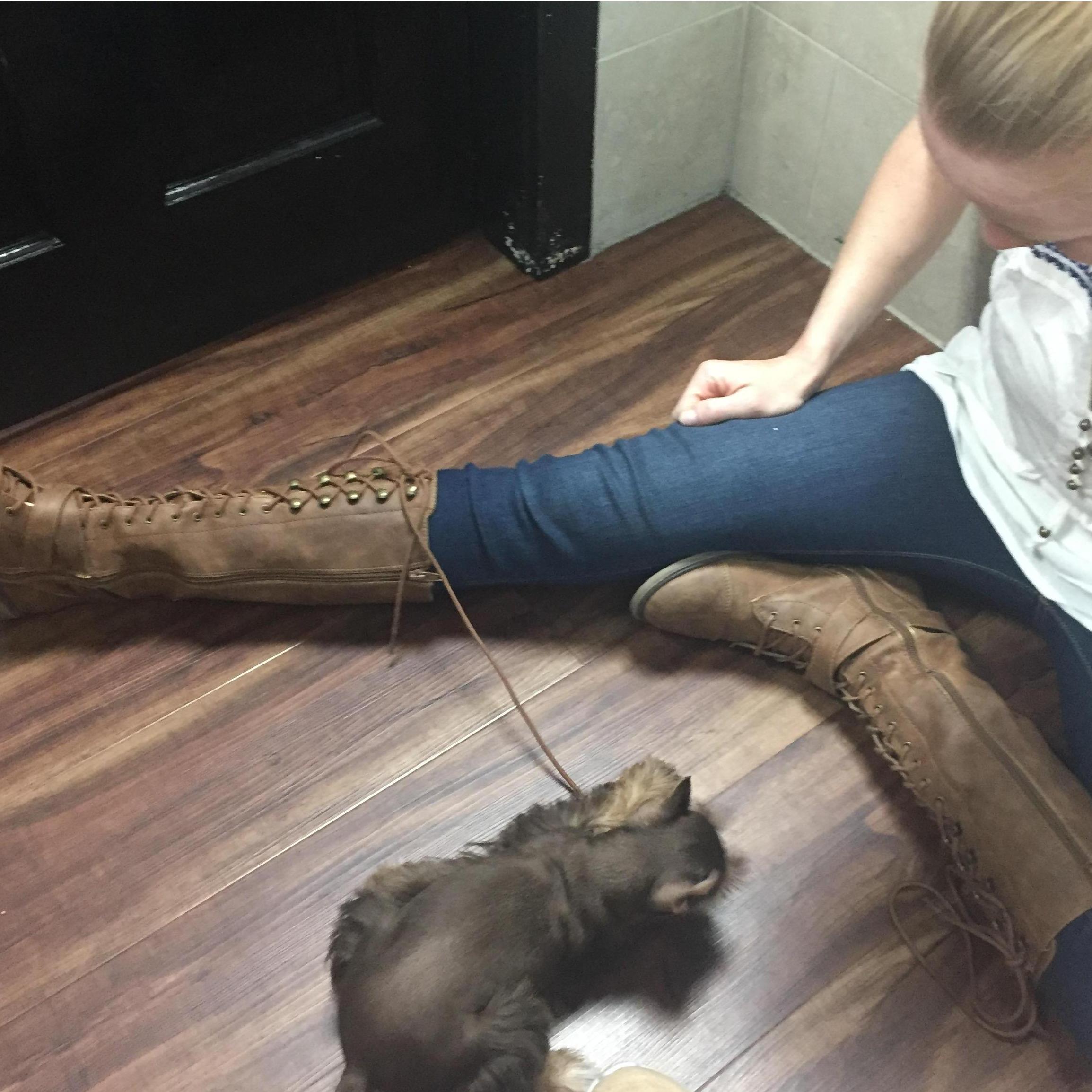 Nicole is a real life Dr. Doolittle/ Animal Whisperer, so we went to a pet store to play with the puppies on our 3rd date!