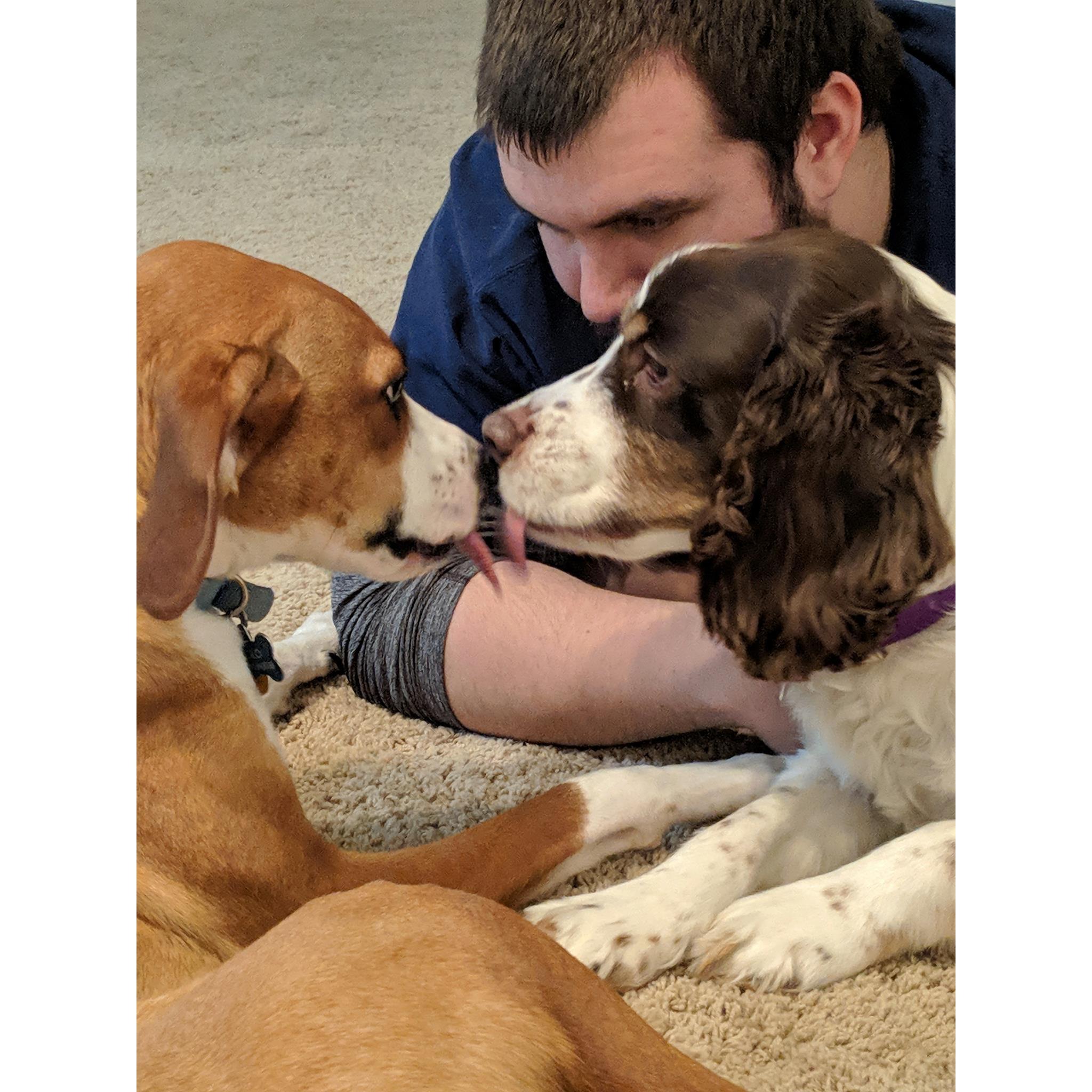 2019 | Puppy love